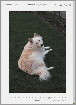 Das magische Bildformat 600 × 860 Pixel in Apple iBooks