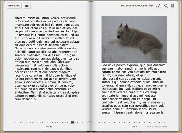 halbes magisches Bildformat 600 x 430 Pixel in Apple iBooks