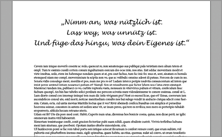 Darstellung in InDesign