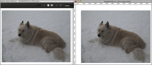 Bild im ePub und Bild in InDesign