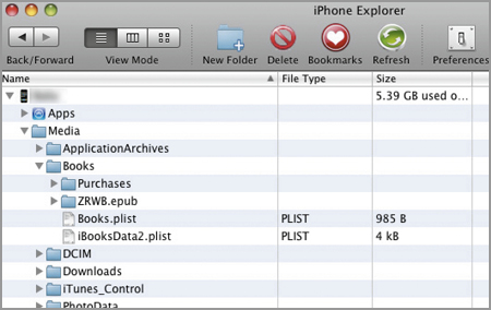 iPhone Explorer