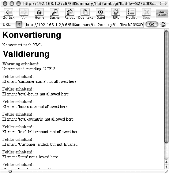 Ausführung von flat2xml.cgi mit vielen Validierungsfehlern