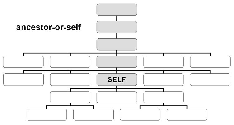 Ancestor-or-self-Achse