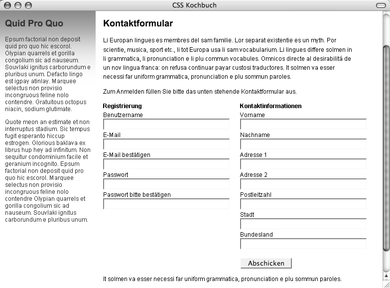 Das fertige zweispaltige Formular