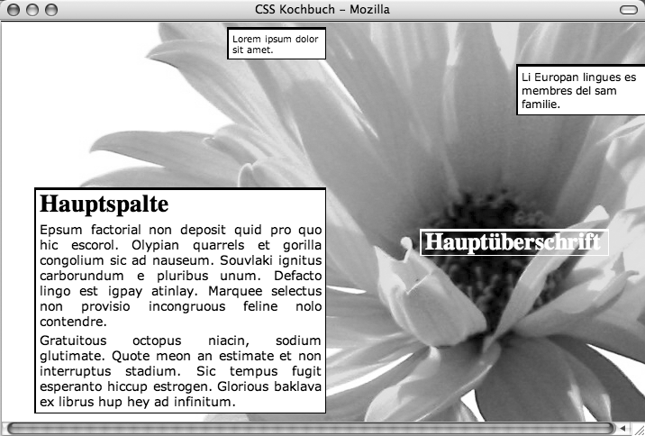 Asymmetrische Platzierung der Inhalte