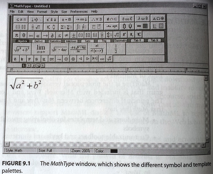 MathType window