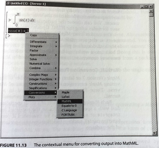 Maple: contextual menu for converting output into MathML