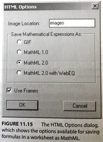 Maple: HTML Options dialog