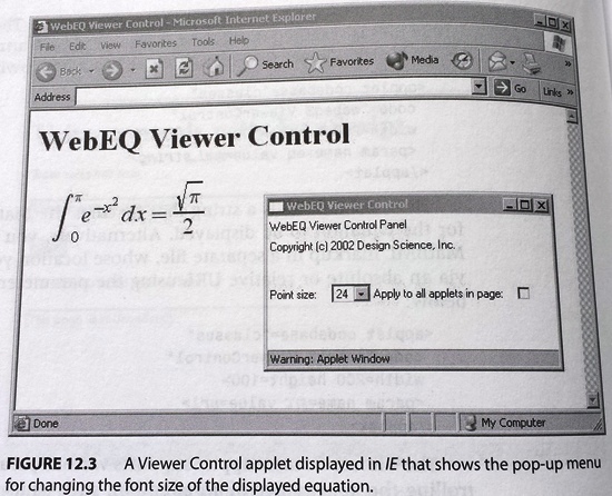 WebEQ: Viewer Control applet showing pop-up menu