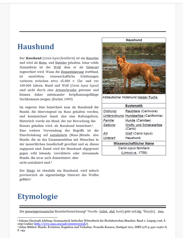Abbildung: Das PDF-Dokument