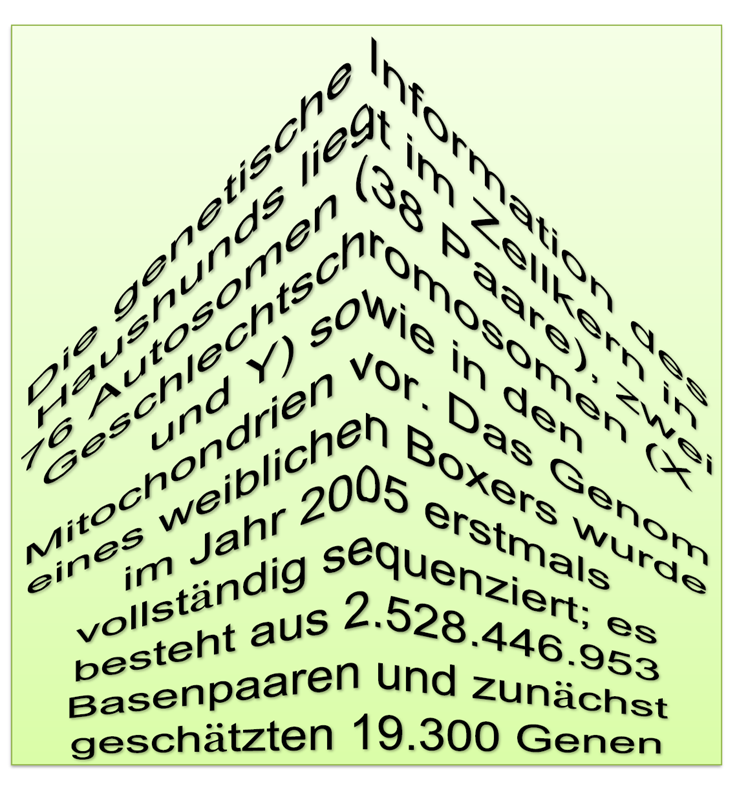 Abbildung: Layout 2