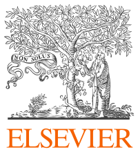 Elsevier GmbH Logo