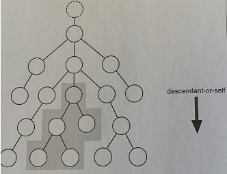 Die Descendant-Or-Self-Achse